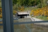 IMG_6899.jpg